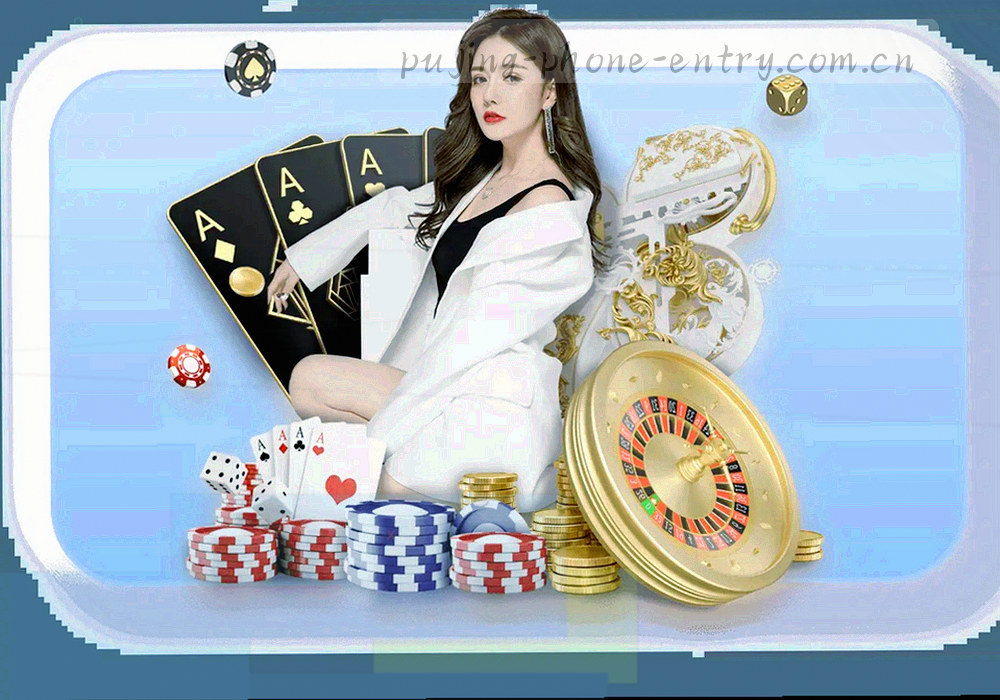 使用指南章节结构示意，章节卡片与检索路径组合，暖金描边